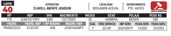 Lote LOTE 40- CAMPO