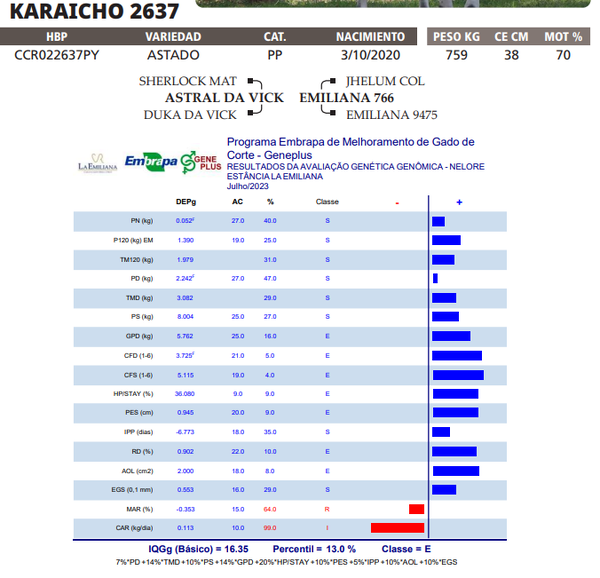 Lote LOTE 69