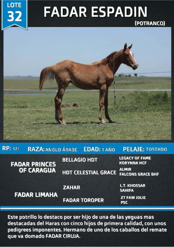 Lote FADAR ESPADIN
