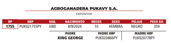 Lote LOTE 3
