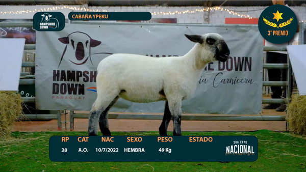 Lote LOTE 5 - CABAÑA YPEkU - RP 38