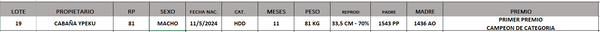 Lote LOTE 19