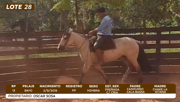 Lote LOTE 28- CAMPO