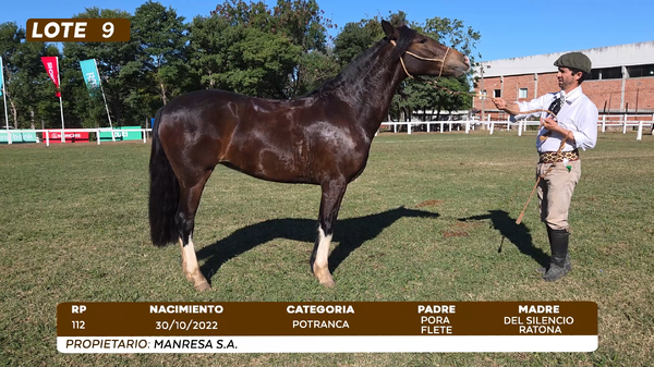 Lote LOTE 9