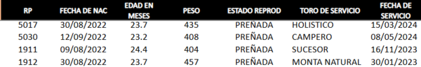 Lote LOTE 30