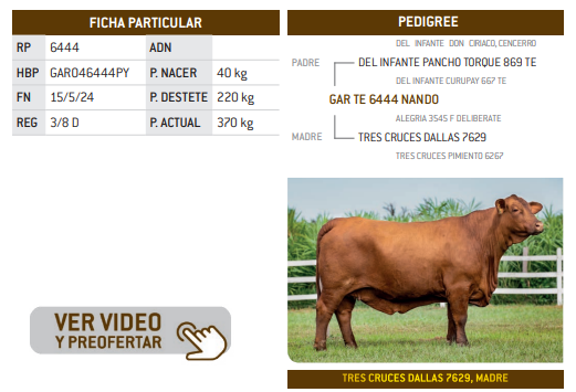 Lote LOTE 7