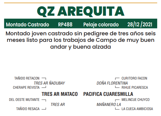 Lote LOTE 28