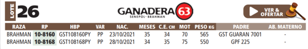 Lote LOTE 26