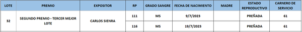 Lote LOTE 32