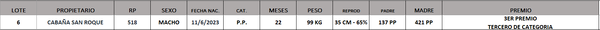 Lote LOTE 6