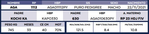 Lote LOTE 21