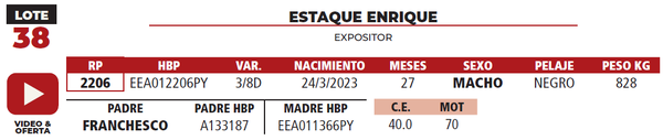 Lote LOTE 38