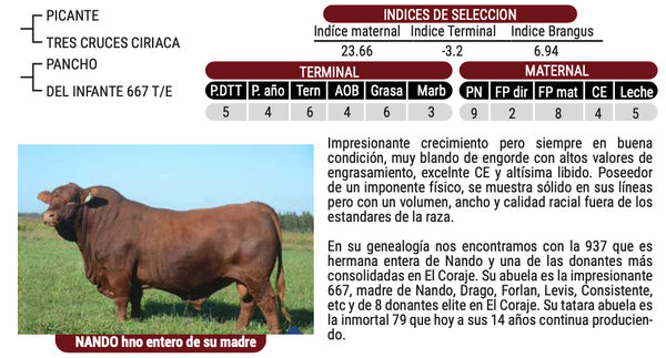 Lote "CABAÑA EL CORAJE" - HOLÍSTICO - Del Infante 1400 T/E