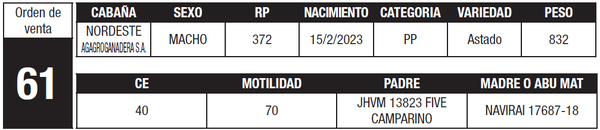 Lote LOTE 61