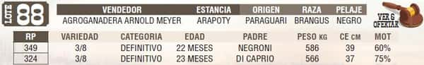 Lote LOTE 88- EN VIVO