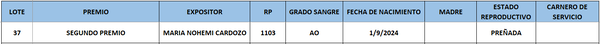 Lote LOTE 37