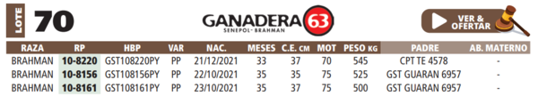 Lote LOTE 70