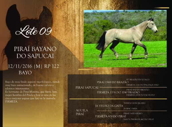 Lote RP 122 - PIRAÍ BAYANO DO SAPUCAI