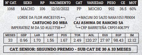 Lote LOTE 7 - BOZAL