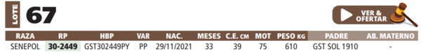 Lote LOTE 67