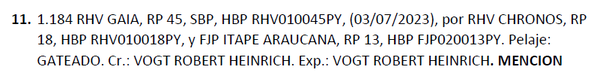 Lote LOTE 11