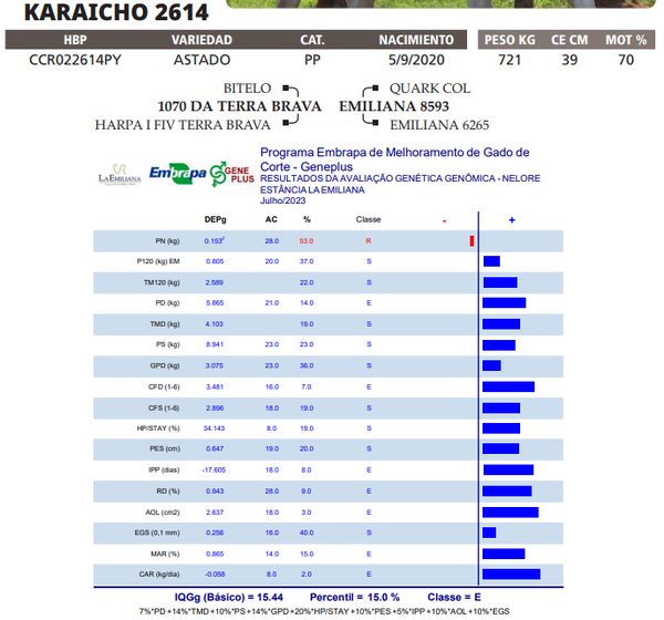 Lote LOTE 12