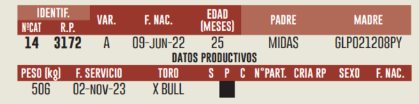 Lote LOTE 12