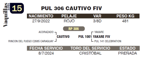 Lote LOTE 15