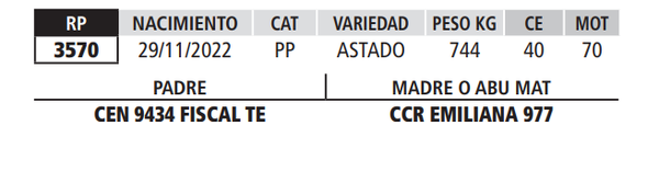 Lote LOTE 54