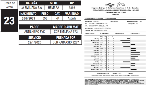 Lote LOTE 23