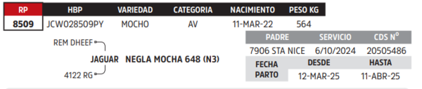 Lote LOTE 30