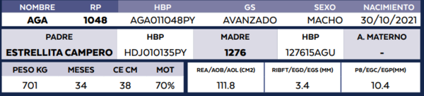 Lote LOTE 5