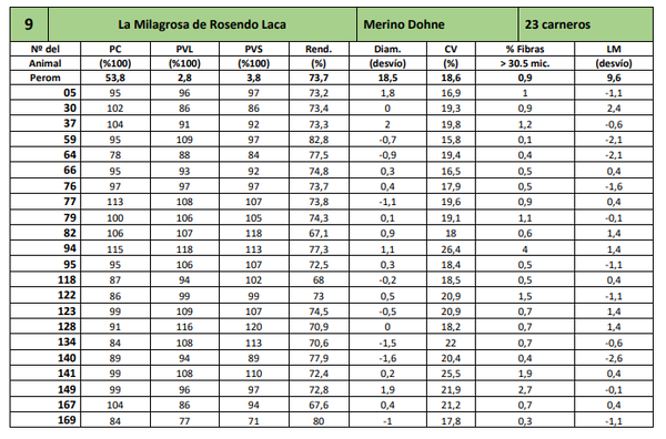 Lote 23 carneros