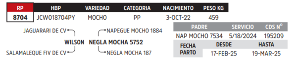 Lote LOTE 32