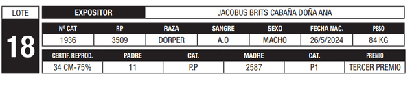 Lote LOTE 18