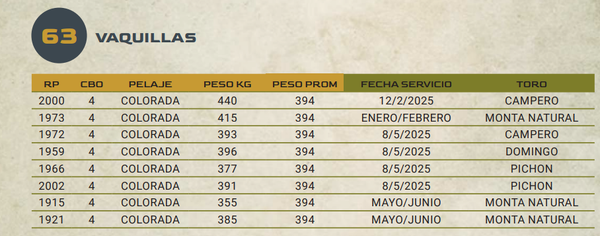 Lote LOTE 63