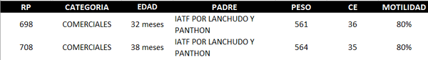 Lote AGROPECUARIA AMAMBAY LOTE 11