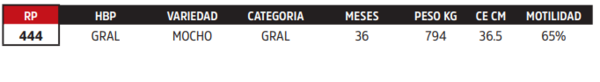 Lote LOTE 4