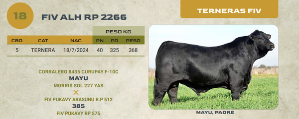 Lote LOTE 18