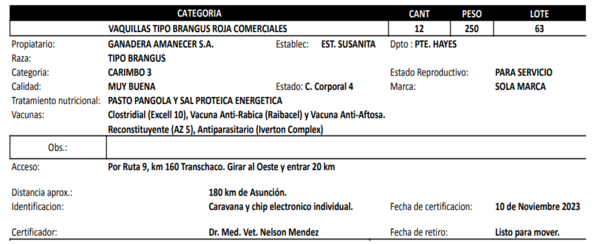 Lote LOTE 63