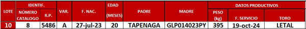 Lote LOTE 10