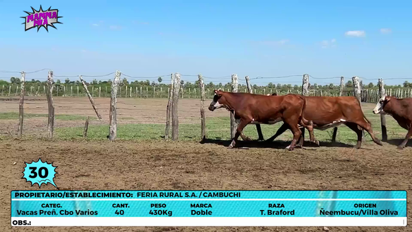 Lote LOTE 30