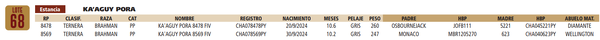 Lote LOTE 68