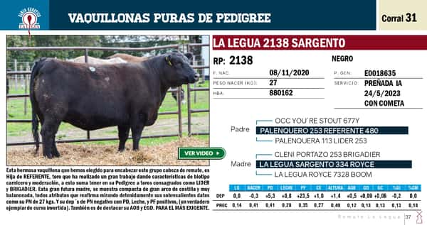 Lote VAQUILLONAS PP REMATE