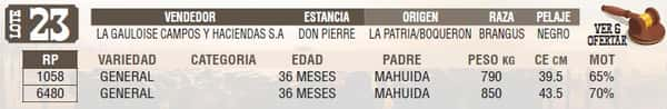 Lote LOTE 23 - EN VIVO