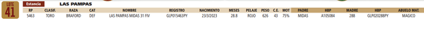 Lote LOTE 41