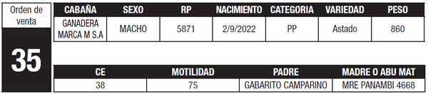 Lote LOTE 35