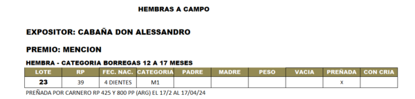 Lote LOTE 23- BOZAL