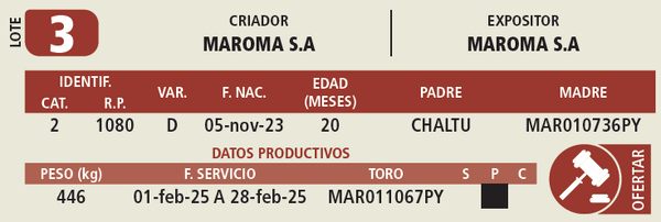 Lote LOTE 3