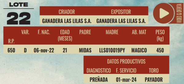 Lote LOTE 22-HEMBRAS DE CAMPO